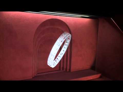 Davidor under the charm of the holographic display cases of Le Meurice in Paris.