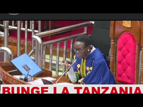 Tanzanian MPs debating in English  is always a struggle and hilarious too.