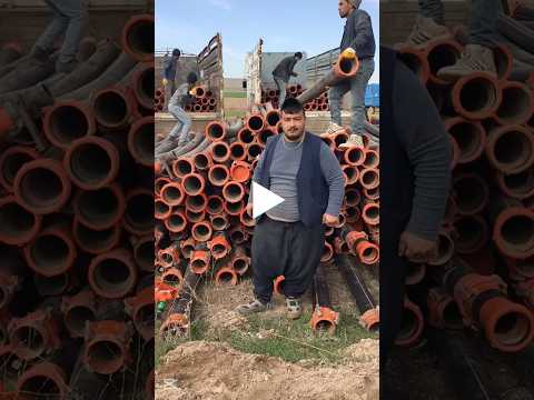 The History of the Skibidi Dom Dom Yes Yes Guy #shorts #memes #nostalgia #memories