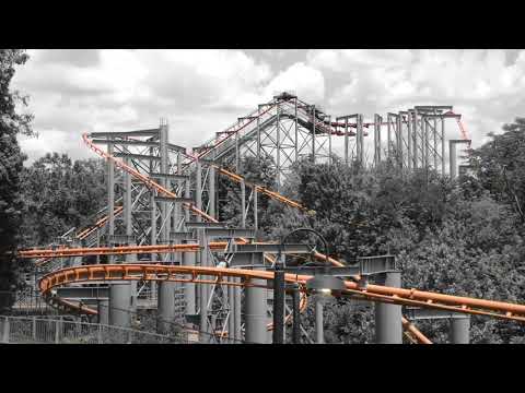 Bat short video by Kings Island
