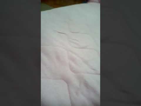 cbeebies numberblocks intro