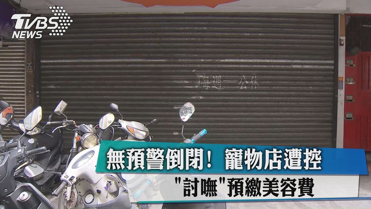 無預警倒閉！　寵物店遭控「討嘸」預繳美容費