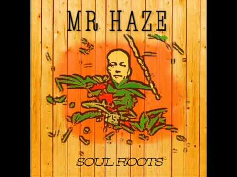Mr Haze Dub Project soul roots