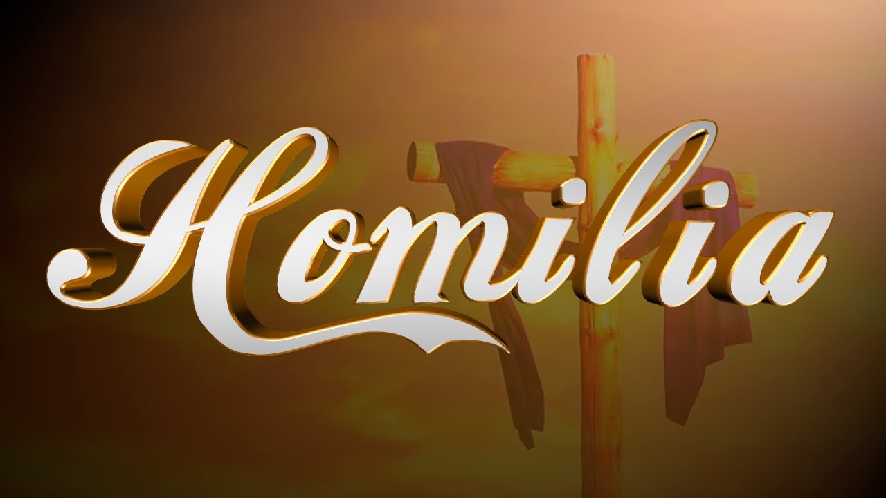 Homilia Missa 22º Domingo do Tempo Comum