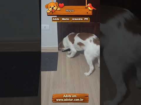 Vídeo de Maylo