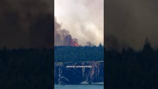 Deepening wildfire crisis in eastern Newfoundland