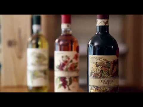 The history of Carpineto!