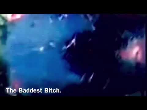 Ch. Bad Rosemary: the legendary roll. Hardest female mouth.