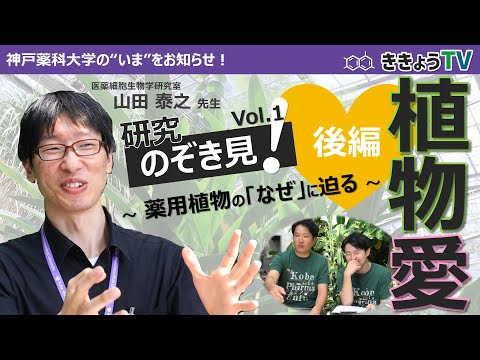 【ききょうTV】研究のぞき見！Vol.1（後編）～薬用植物の「なぜ」に迫る～