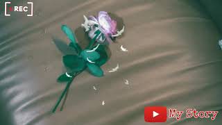 Download lagu Story wa (Boomerang~Bungaku) mp3