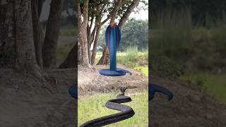 Download lagu funny VFX snack video #shorts mp3