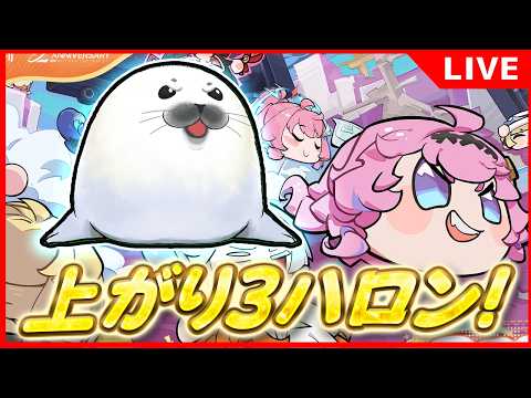 ダンゴレースで全力疾走！あざらしの魅力とは？