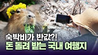 "아는 게 돈이다"...국내여행 아직도 환급 안 받으세요? [5분 정독]