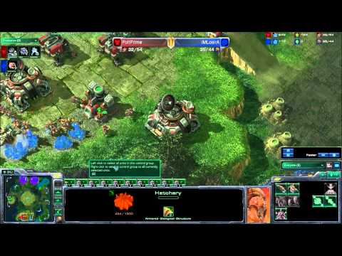 poltprime vs IMLosira g2