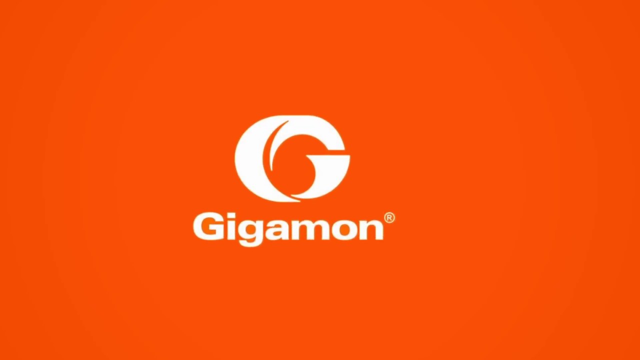 Welcome to the Gigamon GigaVUE TA Series Product Family