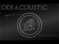 Odi Acoustic - Violence (Blink 182 Cover) 