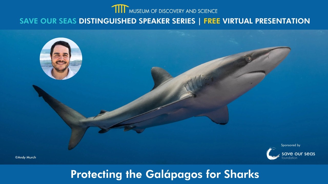 Save Our Seas Distinguished Speaker Series: Protecting the Galápagos for Sharks