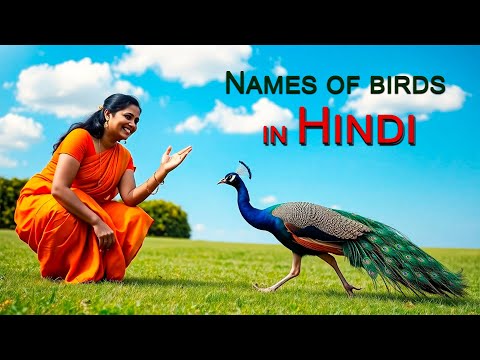 Learn Hindi Fast with These 30 Bird Names