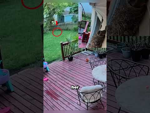 The most unexpected animal moments that cameras captured Episode 20