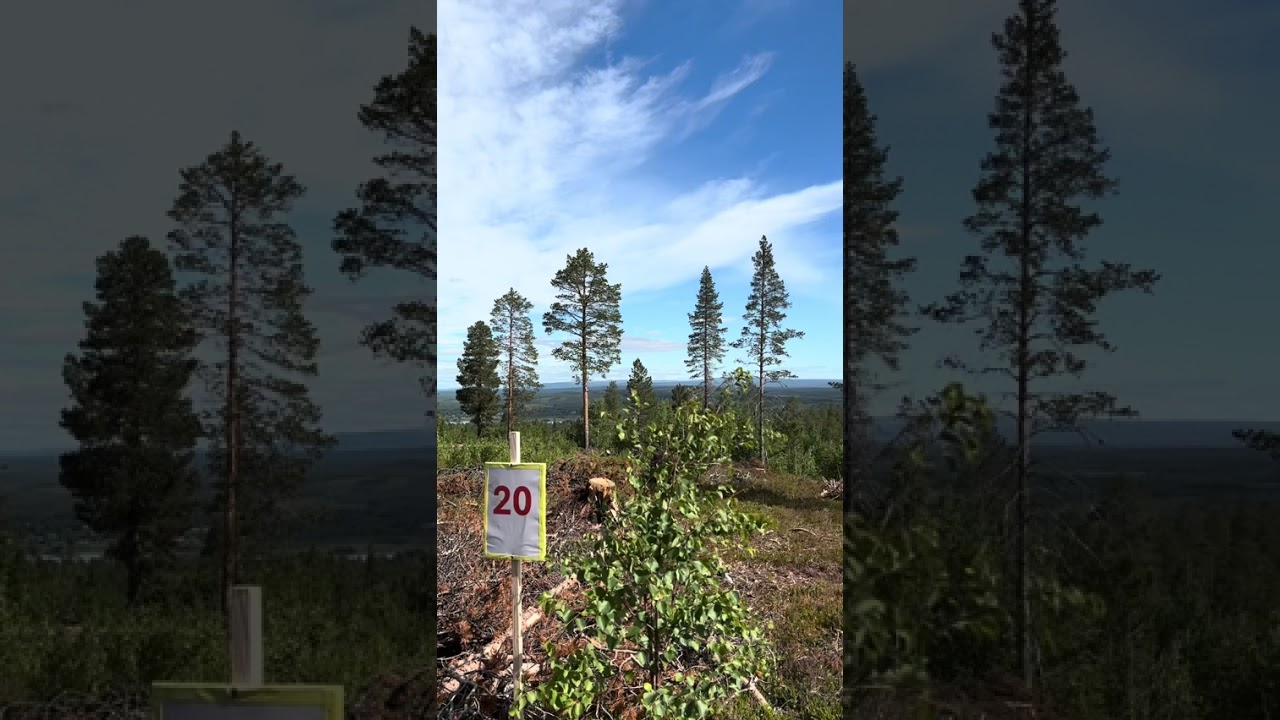 Tomt på Mickeltemplet Särna Älvdalens kommun - video