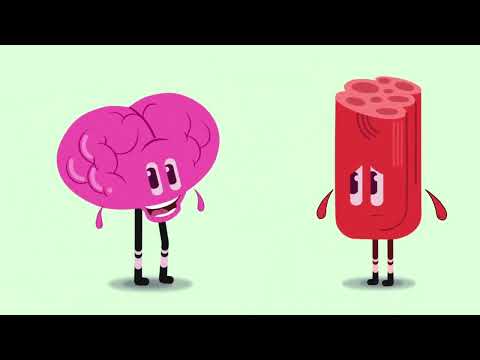 WhatsApp Video 2023 05 11 at 9 16 04 AM