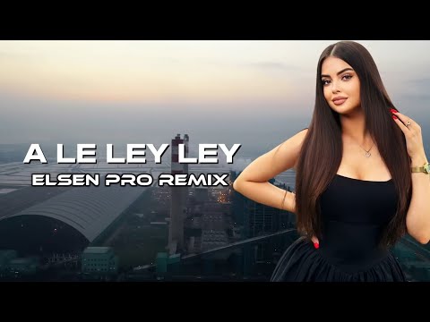 Elsen Pro - A Le Ley Ley (Tiktok Remix)
