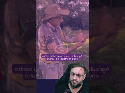 Idoso atacado por onça parda no Paraná? A possibilidade existe, mas a probabilidade é mínima neste