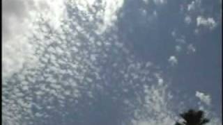 Pennywise - Victim Of Reality