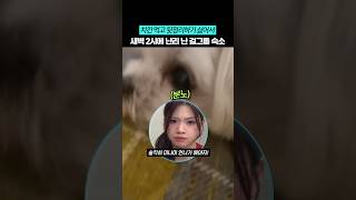 새벽2시에 치킨 치울사람 팬덤 투표하는 아이돌