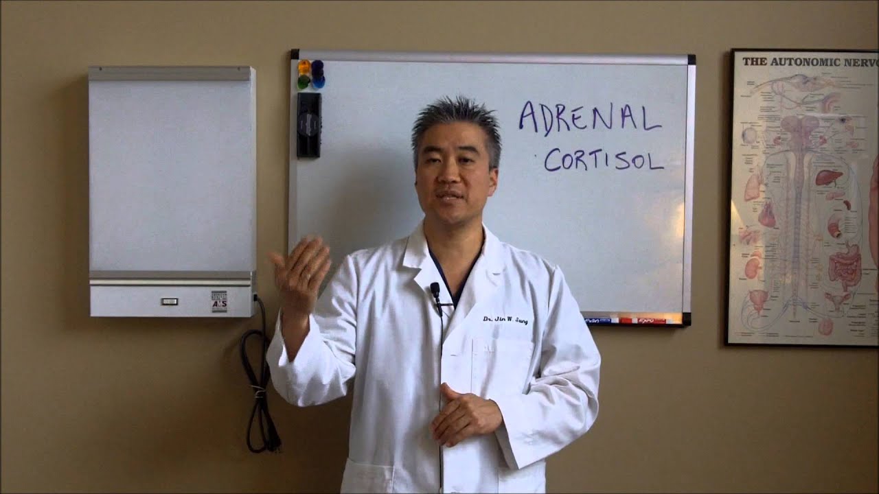 Thyroid Recovery 17 Adrenal Gland
