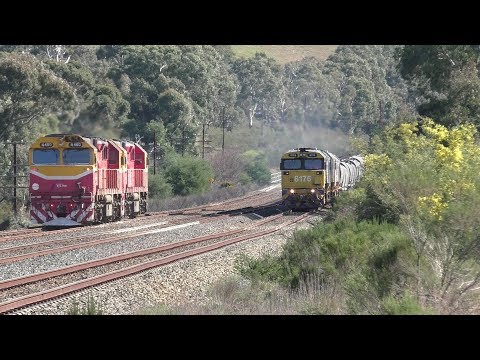 8176-8116-8177 on 3GK6 ex Parkes and N454-460 as 0381 to Seymour near Wandong.  23-08-18.  10.53.29.