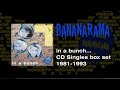 Bananarama - In A Bunch: The Singles 1981-1993 ...