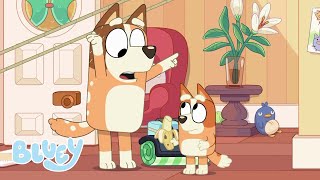 🔴LIVE: Best of Chilli and Bingo from Series 2 | Bluey