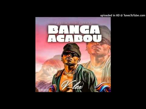V-LEX - Banga Acabou