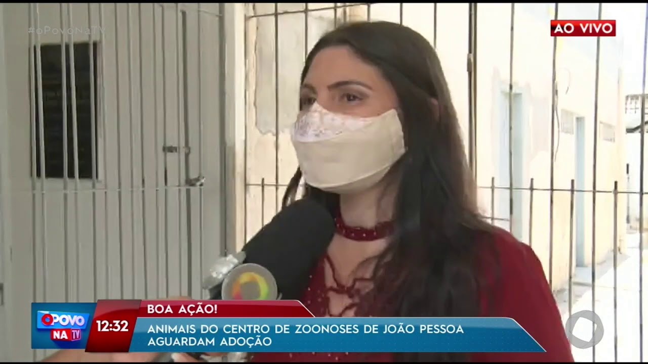 Animais  do Centro de Zoonoses de João Pessoa aguardam adoção- O Povo na TV