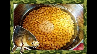 Бойлы на сазана своими руками из гороха
