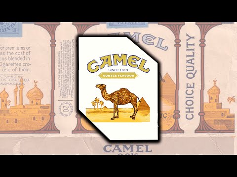 - CAMEL - Hip Hop Instrumental (Prod.Cuervo)