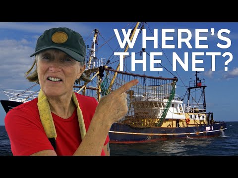 How to avoid fishing nets on a sailboat - Sailing Ep 192