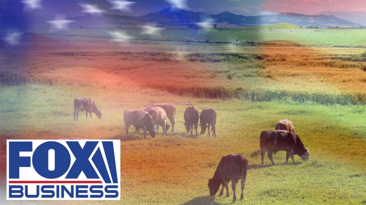 REBUILD THEIR HERDS: Lawmaker says this is what American ranchers desperately need