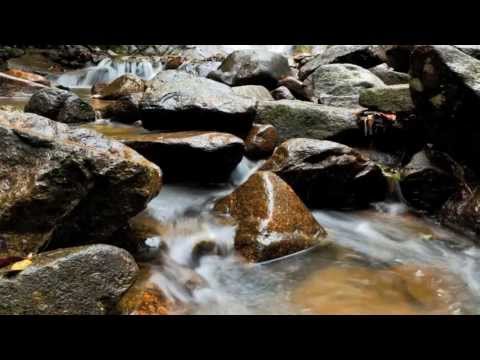 VIS Trinity - Prava Istina (lyrics)