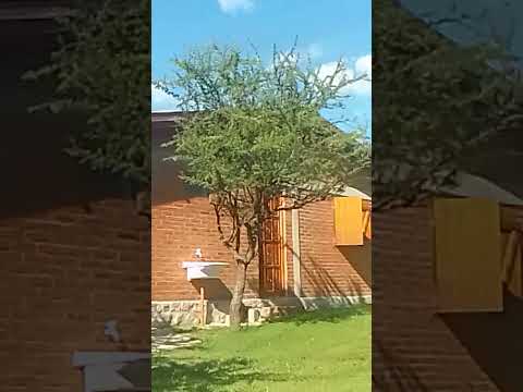 The X-Files en Las Rabonas, Córdoba.