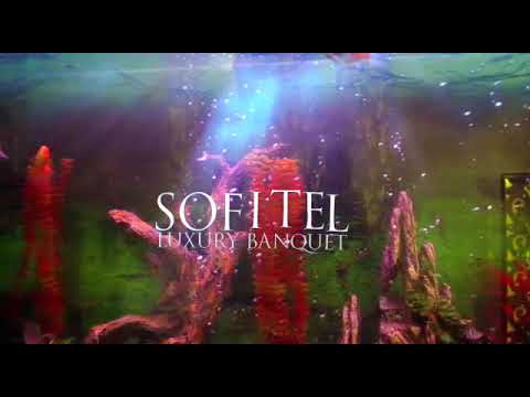 download lagu mp3 mp4 The Grand Banquet North Nazimabad, download lagu The Grand Banquet North Nazimabad gratis, unduh video klip The Grand Banquet North Nazimabad