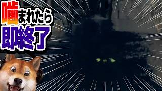 噛まれたら即終了 バイオハザードRE:4 / part408