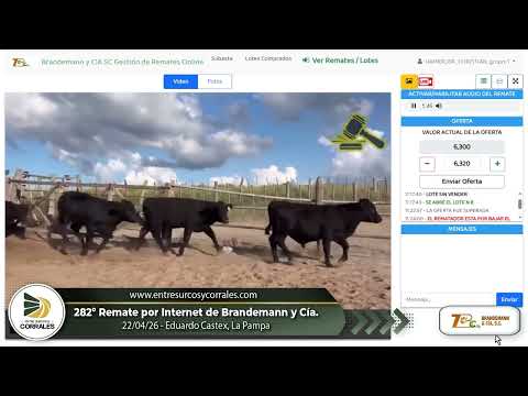 22-04-26 - 282º Remate por Internet de Brandemann y Cía. - Eduardo Castex, La Pampa