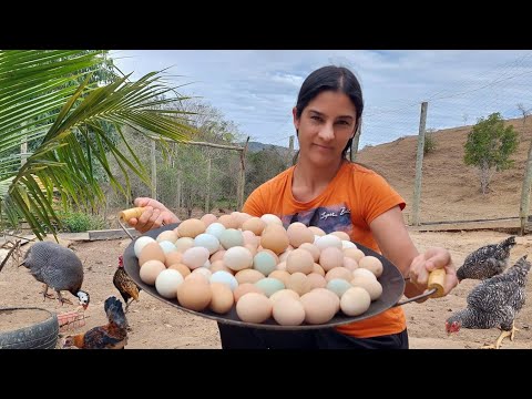 100 Ovos e um Jantar diferente