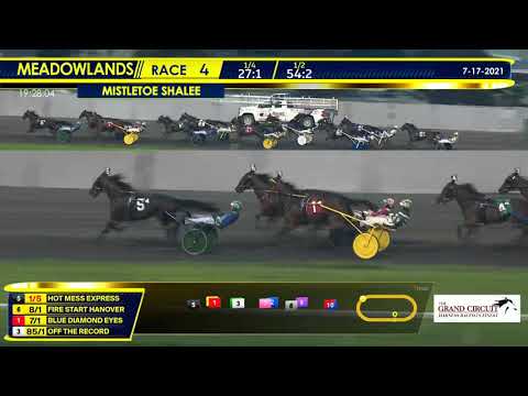 July 17, 2021 - Mistletoe Shalee