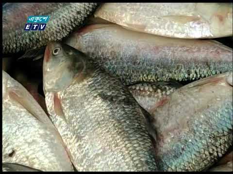 বাগেরহাটে ইলিশের বেচাবিক্রি জমজমাট