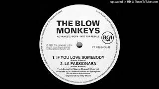 The Blow Monkeys~La Passionara [12" Balearic Dub Mix]