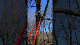 Chainsaw and Ladder FAILS 😂😭