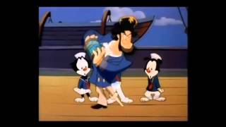 Musik-Video-Miniaturansicht zu Captain Ahab, Du Bist Blöde Songtext von Animaniacs (OST)